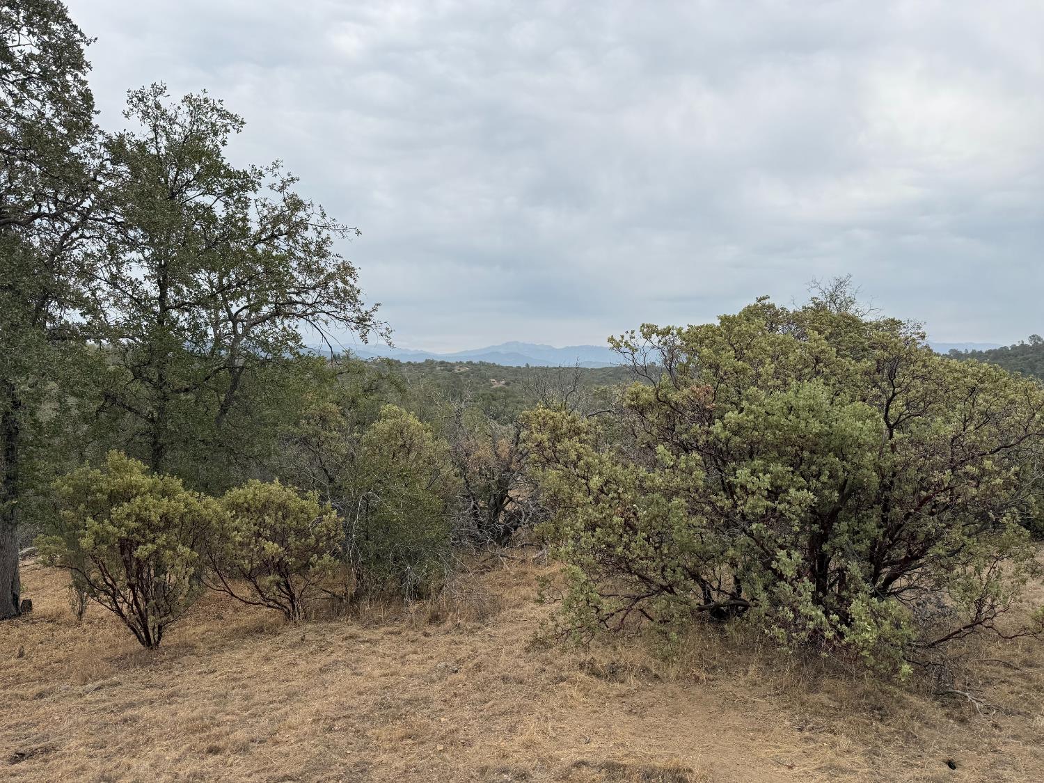 0 39.77 AC Flying O Ranch Rd., O neals, CA 93645