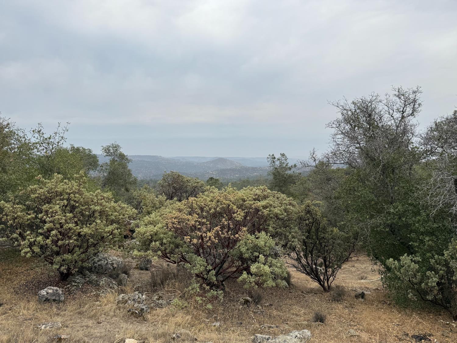 0 39.77 AC Flying O Ranch Rd., O neals, CA 93645