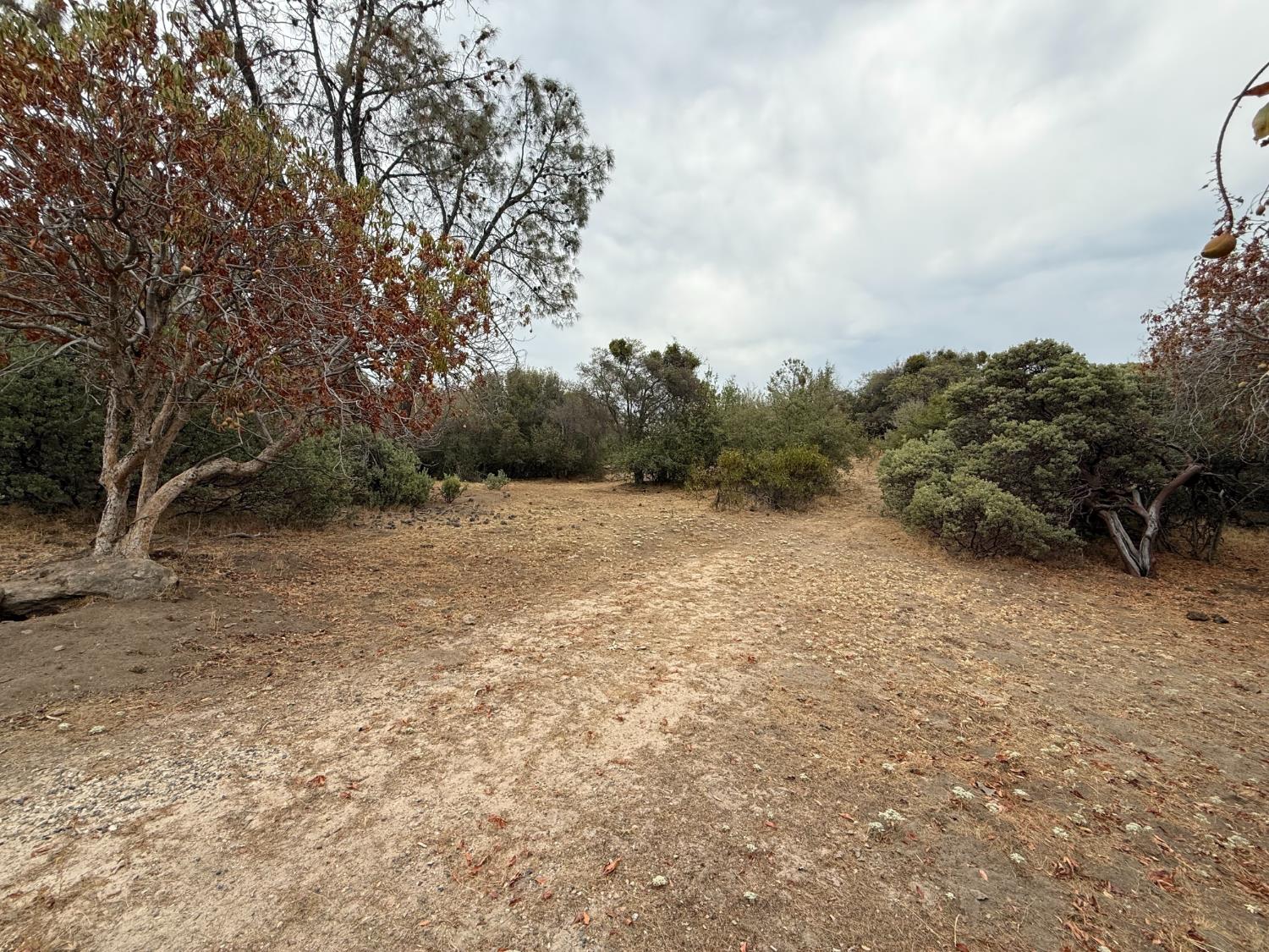 0 39.77 AC Flying O Ranch Rd., O neals, CA 93645