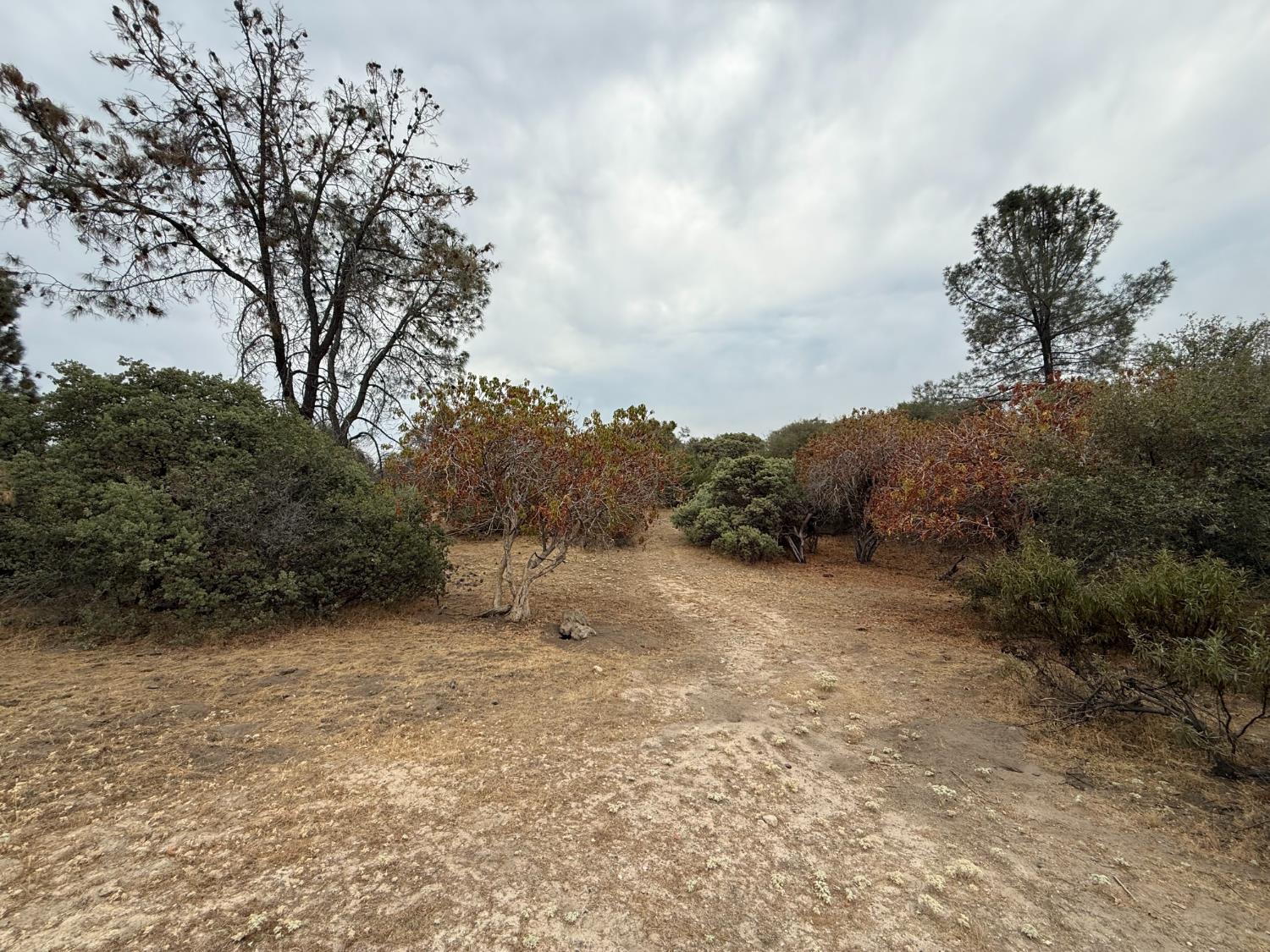0 39.77 AC Flying O Ranch Rd., O neals, CA 93645