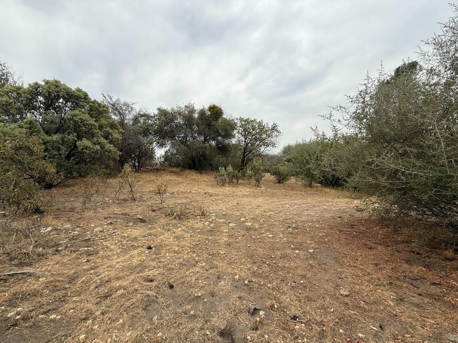 0 39.77 AC Flying O Ranch Rd., O neals, CA 93645