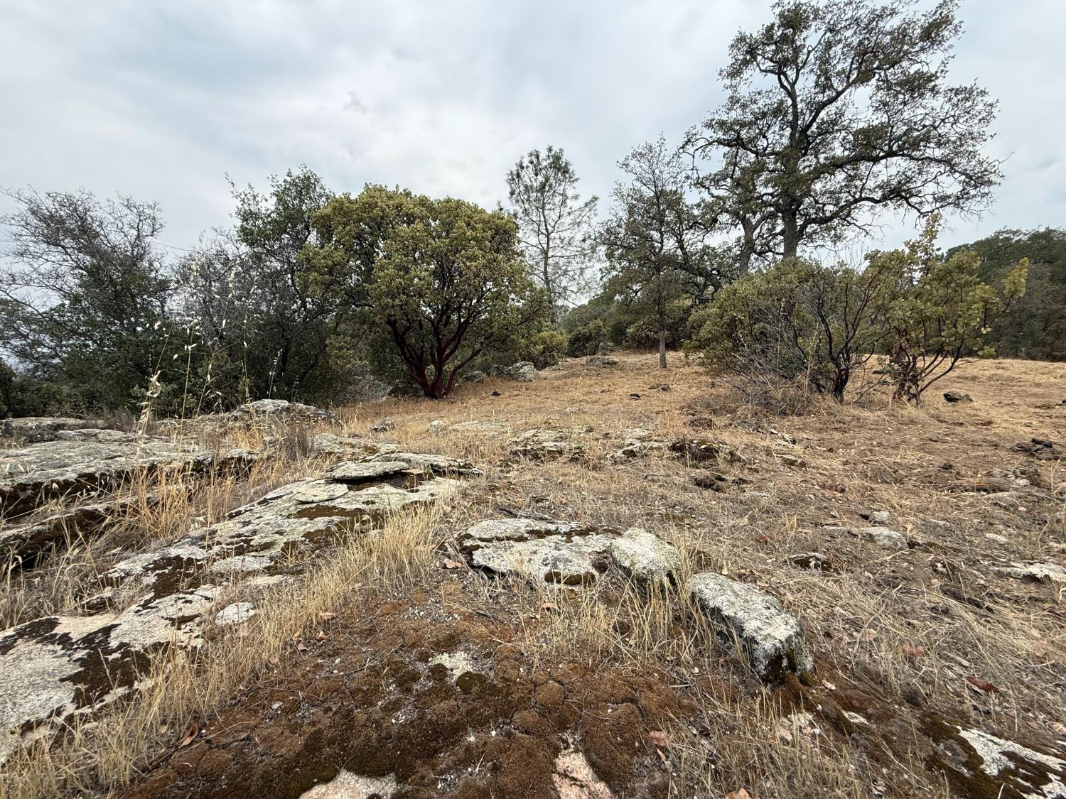 0 39.77 AC Flying O Ranch Rd., O neals, CA 93645