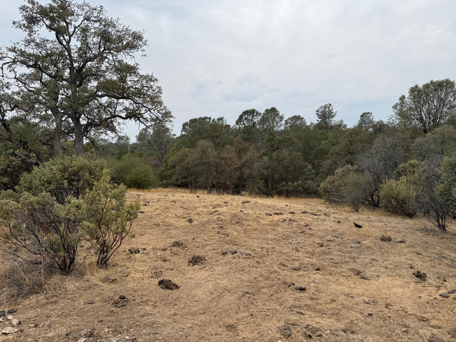 0 39.77 AC Flying O Ranch Rd., O neals, CA 93645