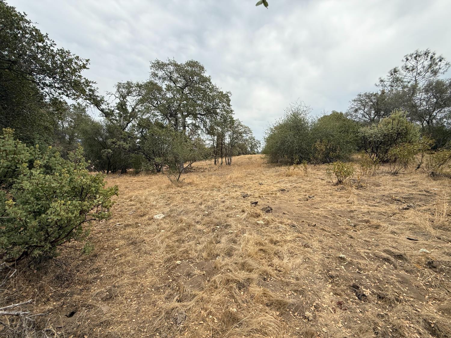0 39.77 AC Flying O Ranch Rd., O neals, CA 93645