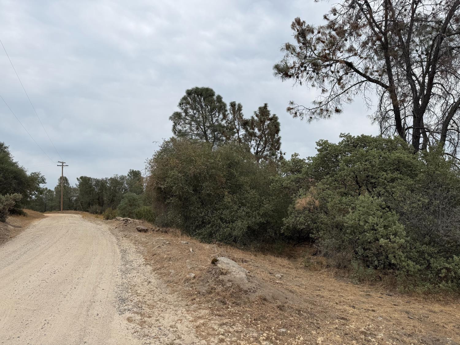 0 39.77 AC Flying O Ranch Rd., O neals, CA 93645
