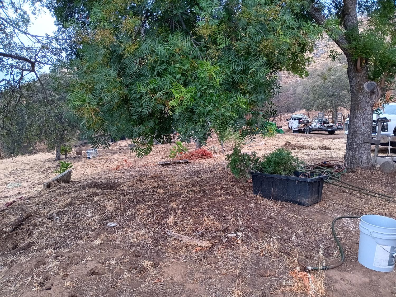 45682 Columbine Ln, Yokuts Valley, CA 93675