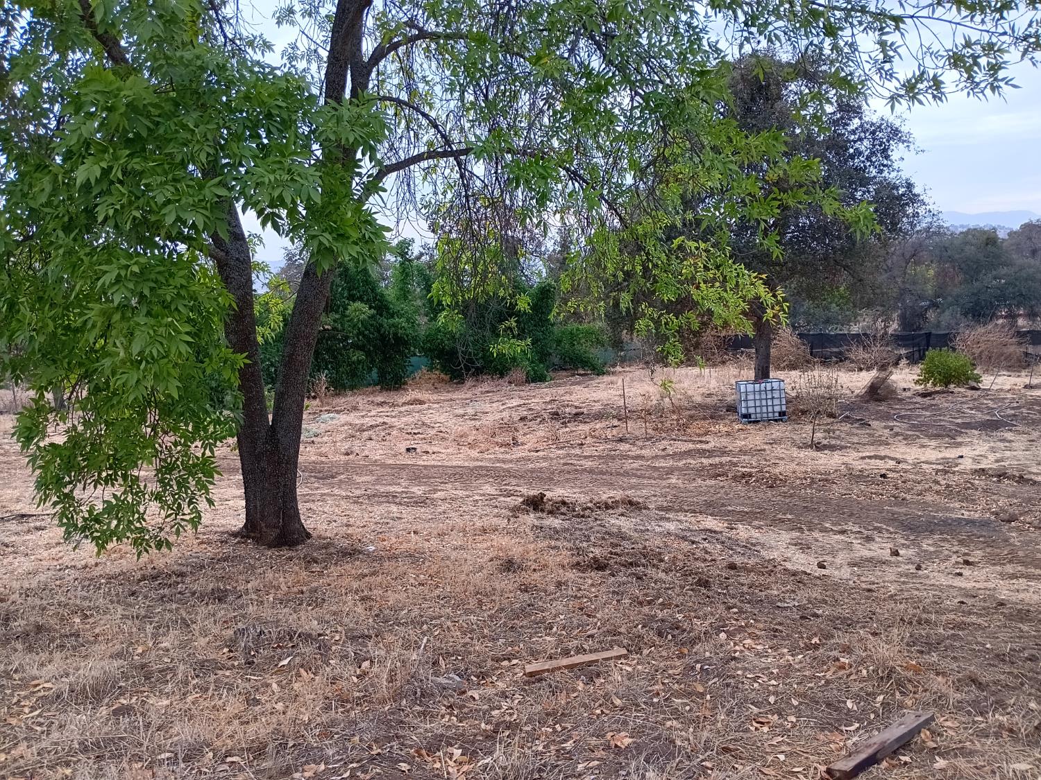 45682 Columbine Ln, Yokuts Valley, CA 93675