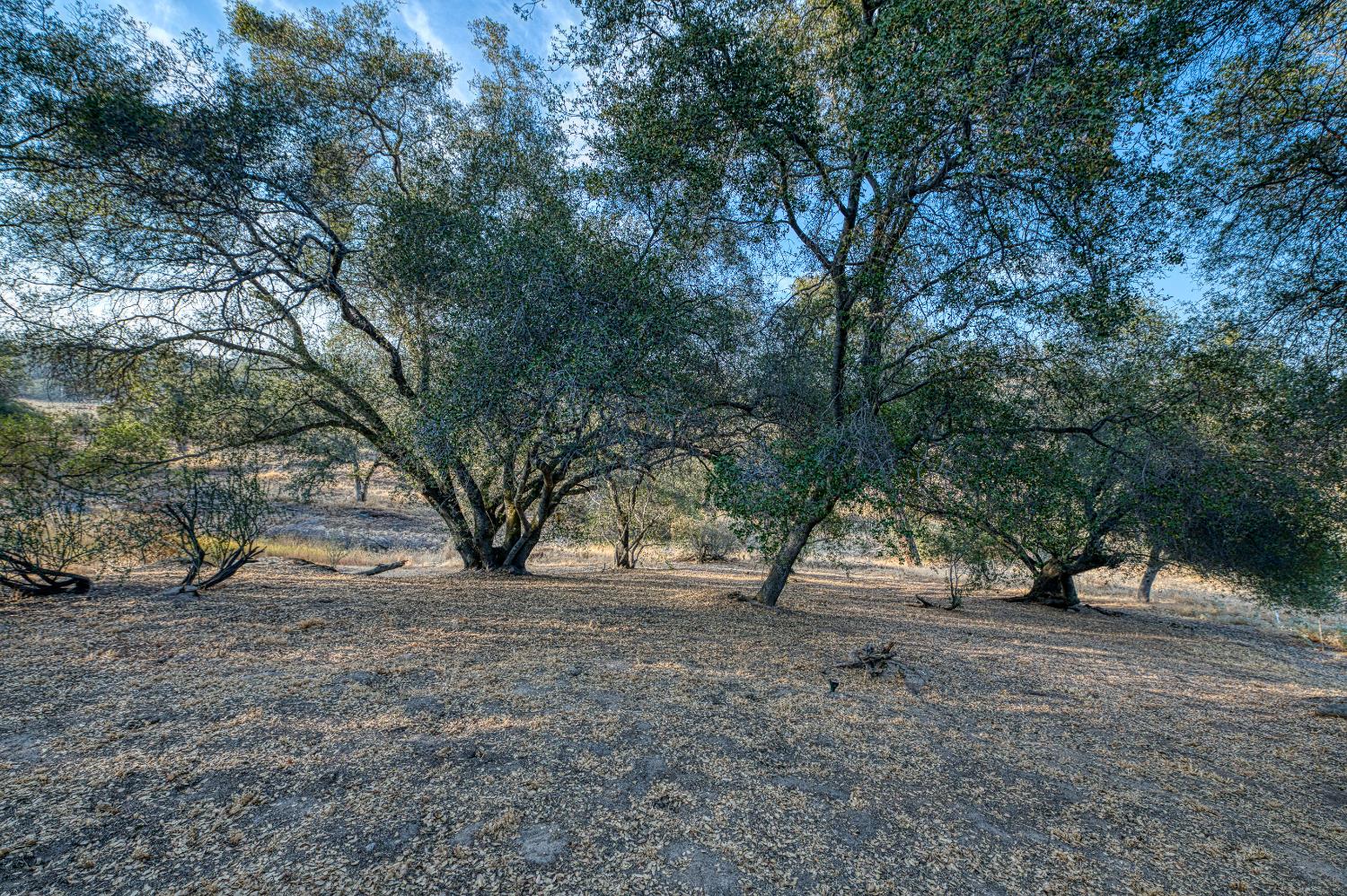 41810 Road 406, Coarsegold, CA 93614