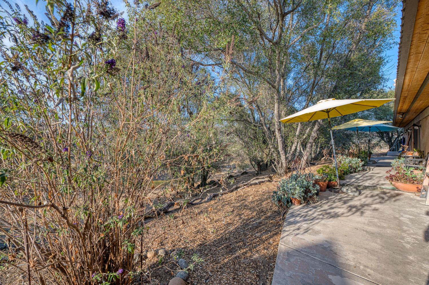41810 Road 406, Coarsegold, CA 93614