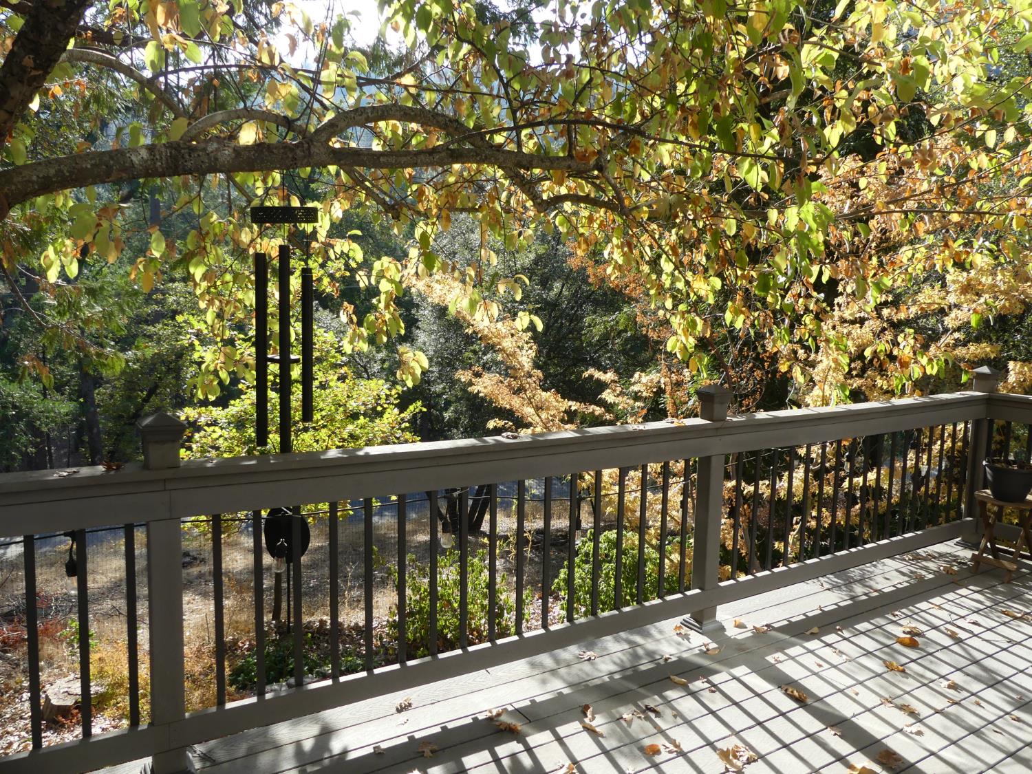 36522 Mudge Ranch Rd, Coarsegold, CA 93614