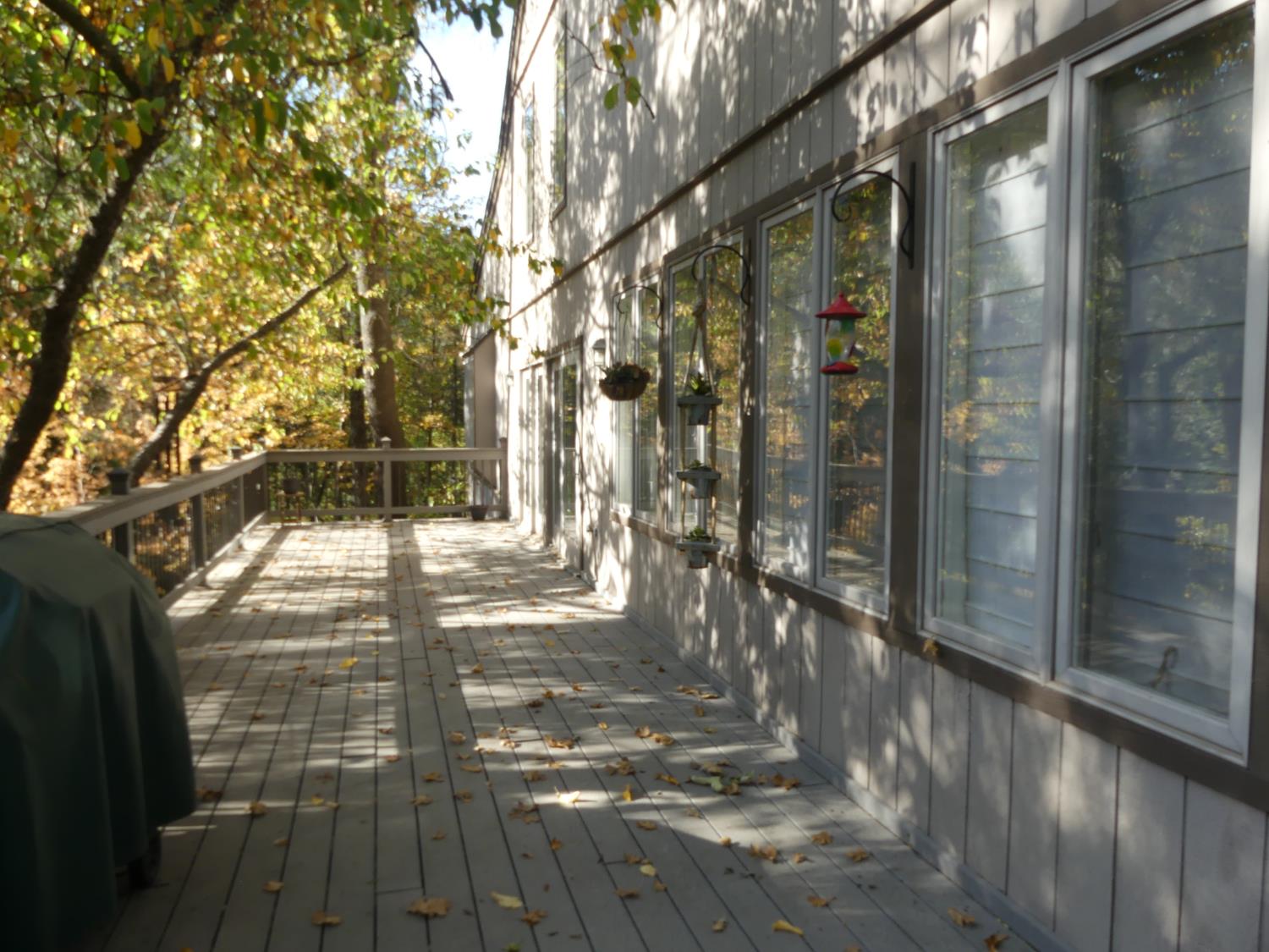 36522 Mudge Ranch Rd, Coarsegold, CA 93614