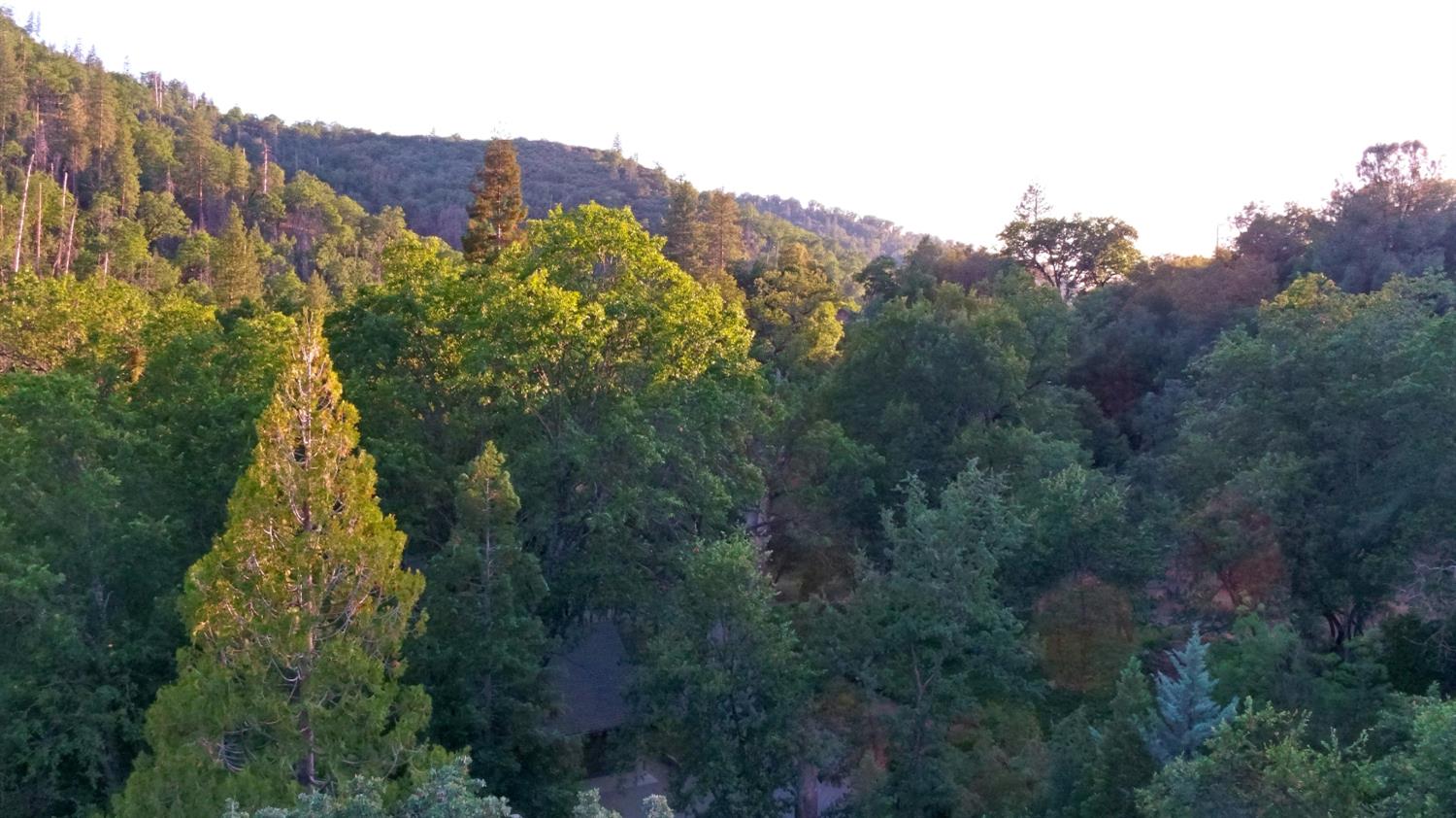 36522 Mudge Ranch Rd, Coarsegold, CA 93614