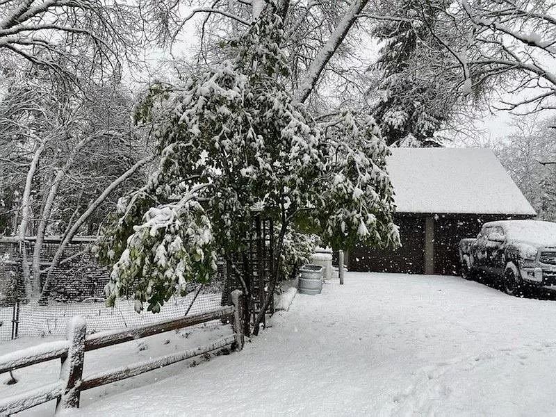 36522 Mudge Ranch Rd, Coarsegold, CA 93614