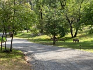 36522 Mudge Ranch Rd, Coarsegold, CA 93614