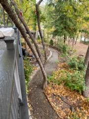 36522 Mudge Ranch Rd, Coarsegold, CA 93614