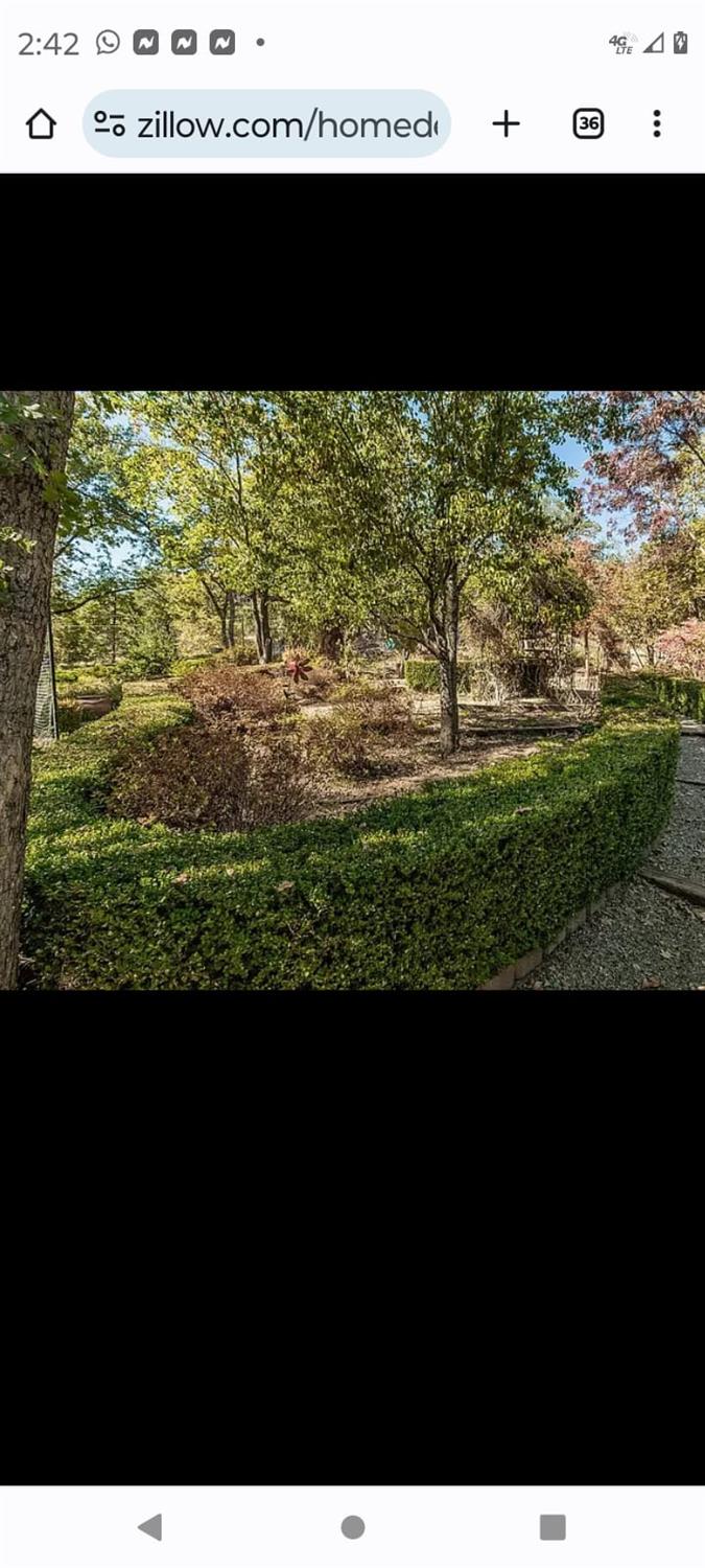 36522 Mudge Ranch Rd, Coarsegold, CA 93614