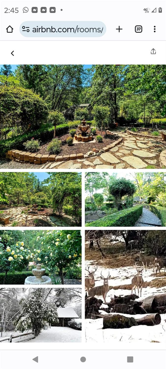 36522 Mudge Ranch Rd, Coarsegold, CA 93614