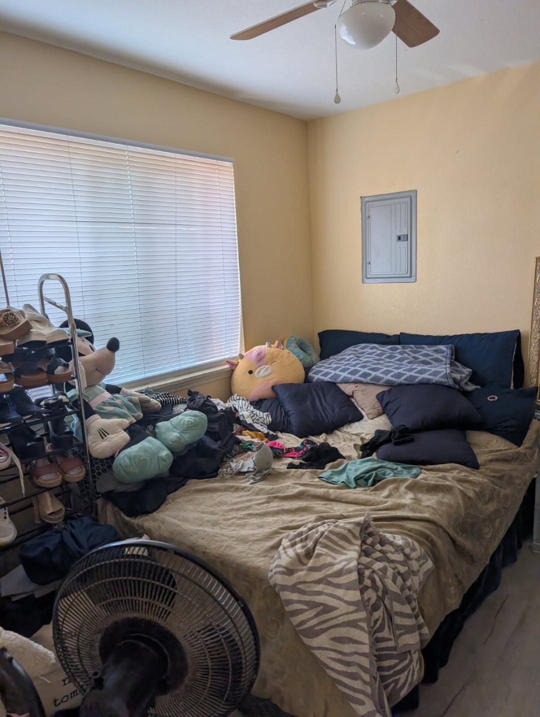 1135 E Fedora Ave, Fresno, CA 93704