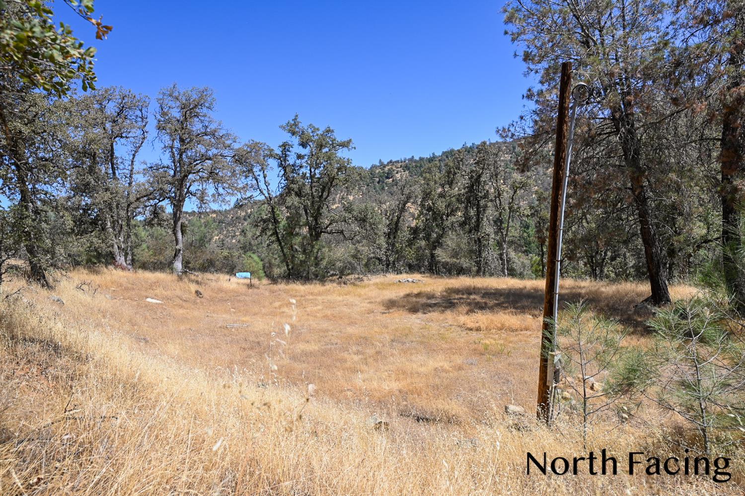 5799 Corey Pines Rd, Mariposa, CA 95338