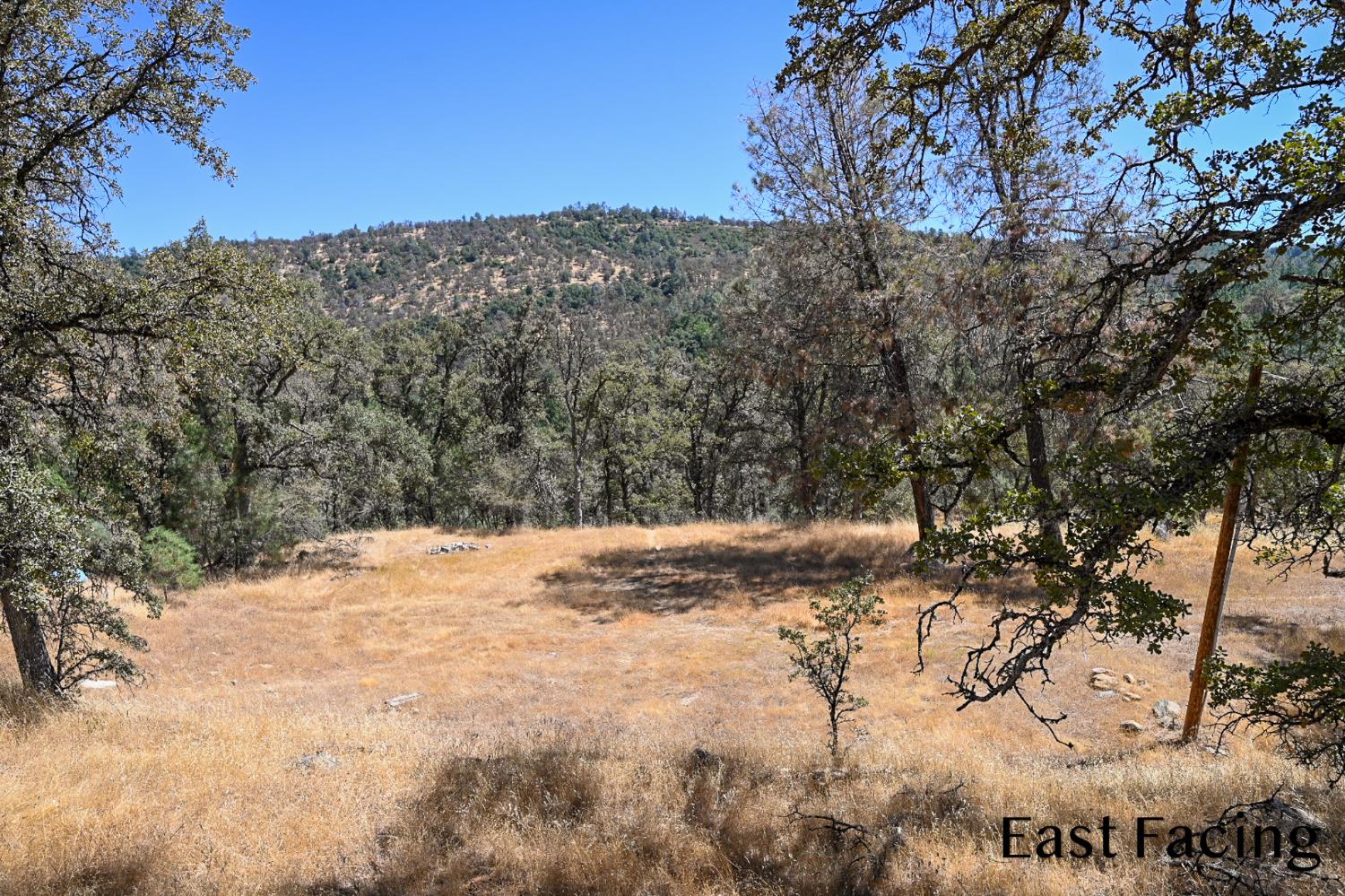 5799 Corey Pines Rd, Mariposa, CA 95338