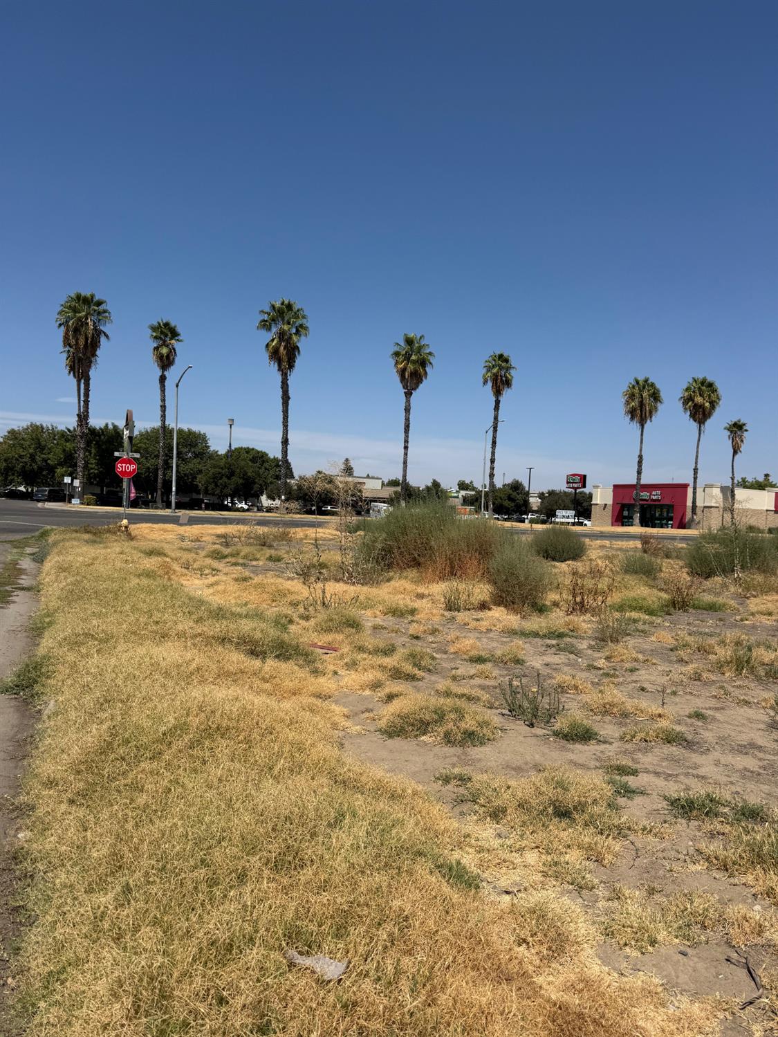 0 0 Adams Dr, Chowchilla, CA 93610