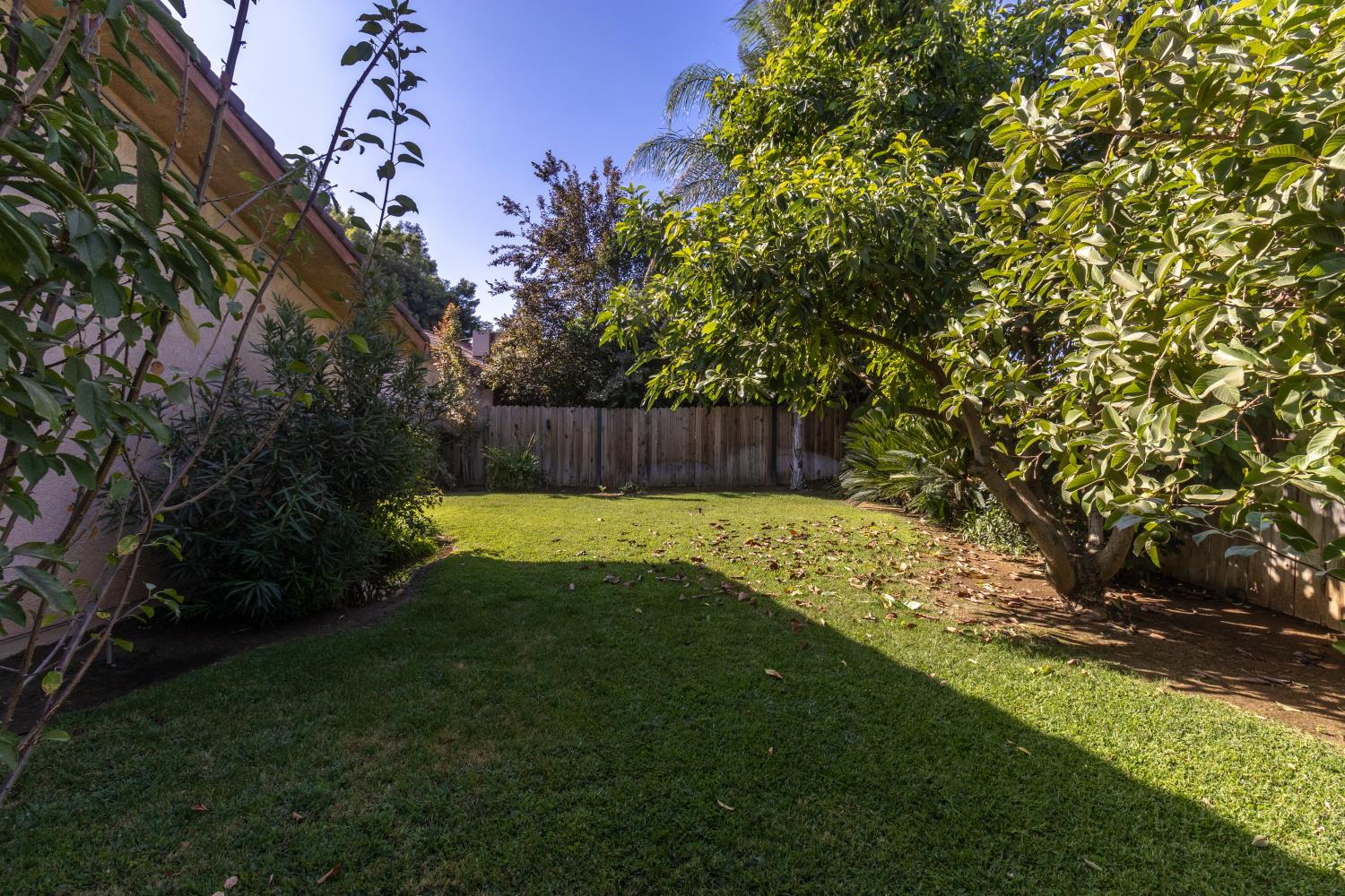 6365 N Carica Ave, Fresno, CA 93722