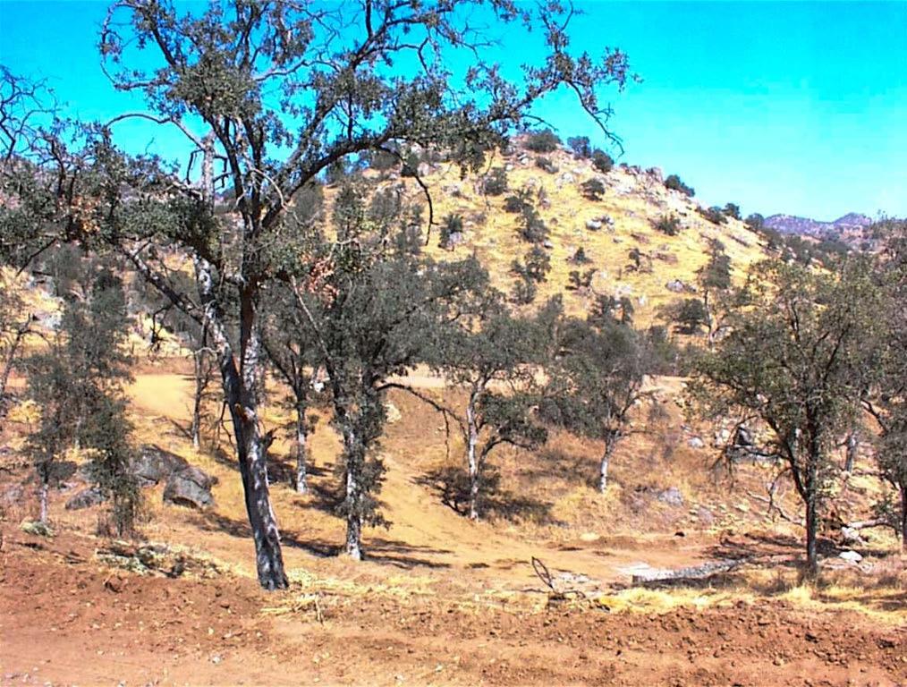 452 Ennis Rd, Yokuts Valley, CA 93675