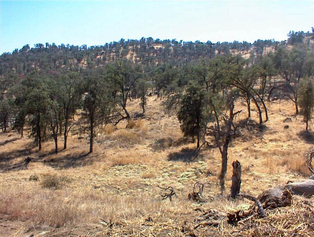 452 Ennis Rd, Yokuts Valley, CA 93675
