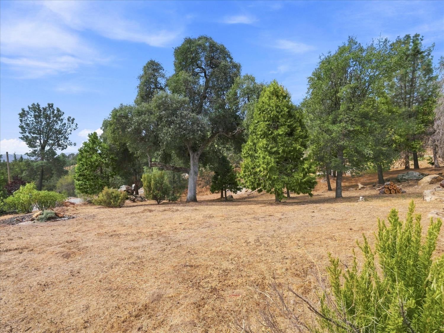 31081 N Dome Dr, Coarsegold, CA 93614