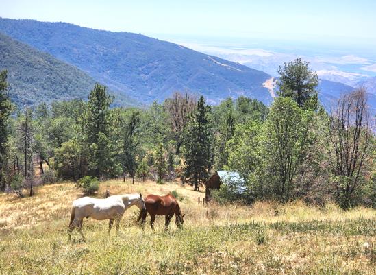 43267 Bear Creek Rd #D, Springville, CA 93265