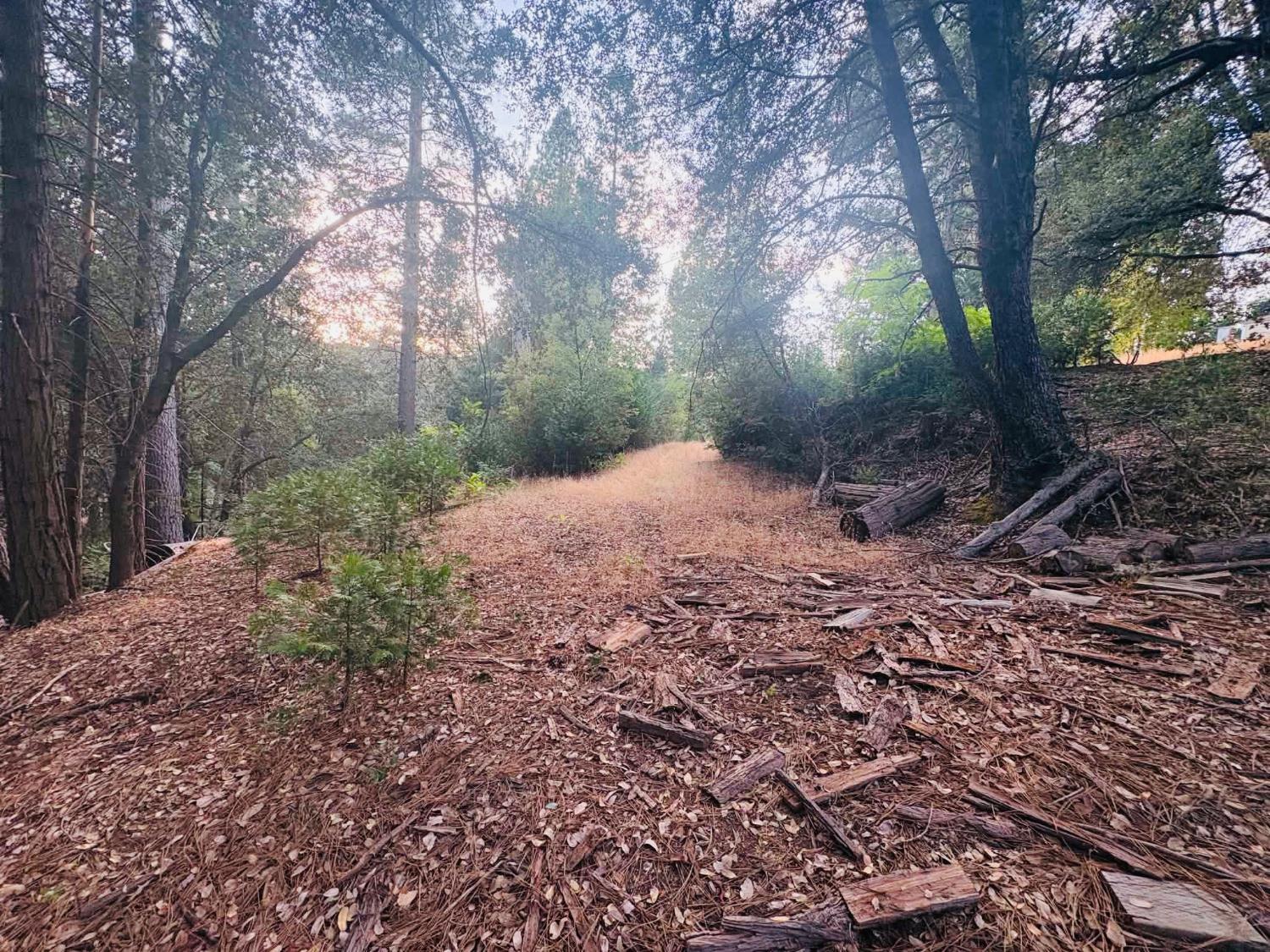 0 .52ac Cedar Ridge Cir S, Oakhurst, CA 93644