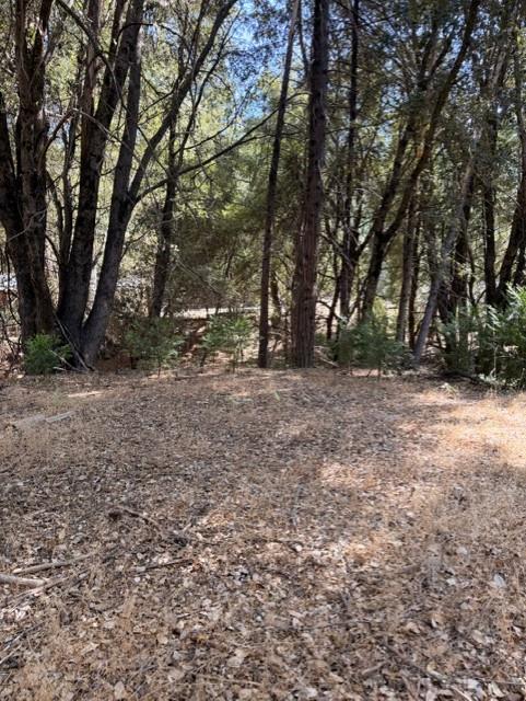 0 .52ac Cedar Ridge Cir S, Oakhurst, CA 93644
