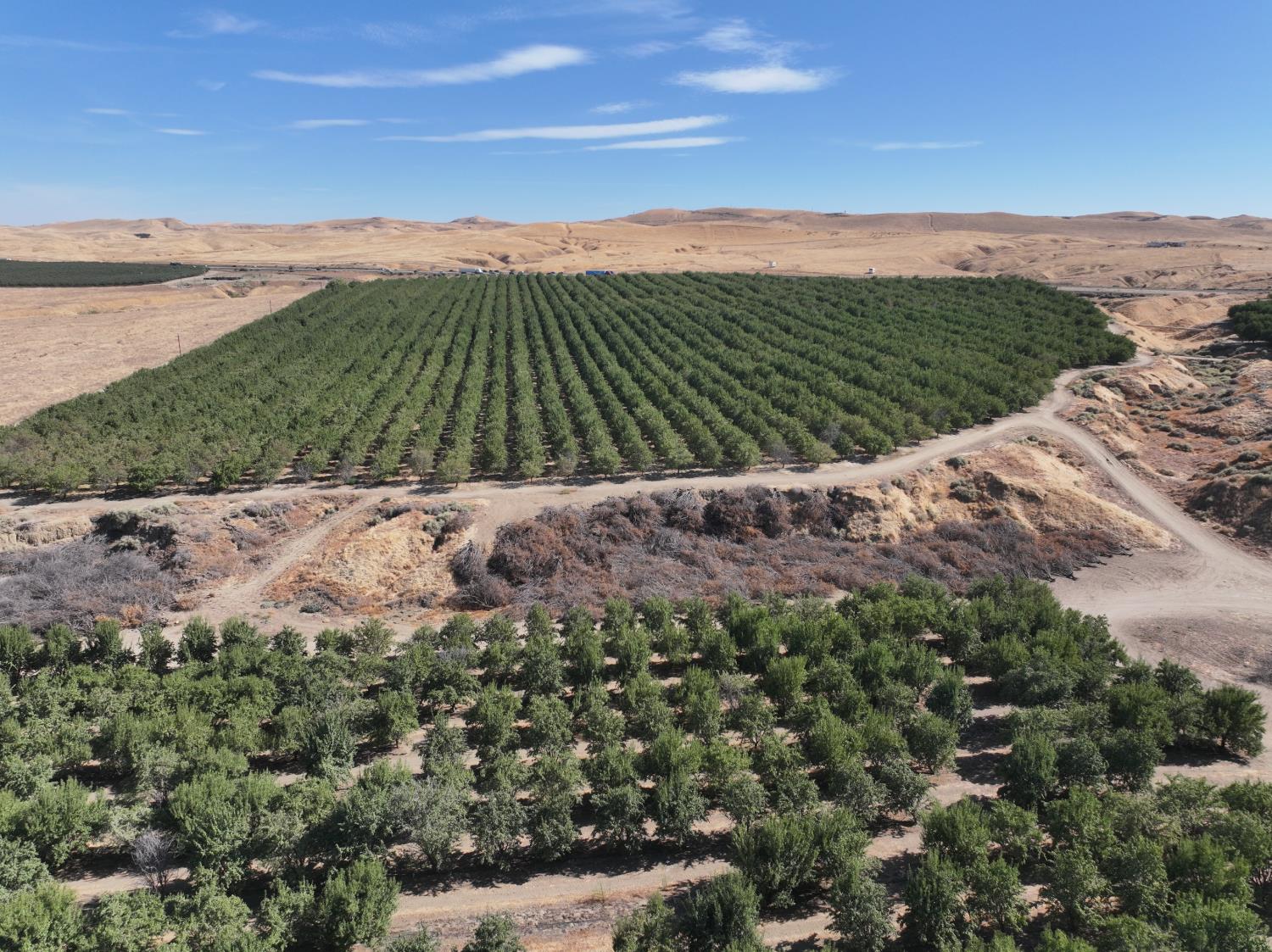 0 0 33rd Ave., Avenal, CA 93204