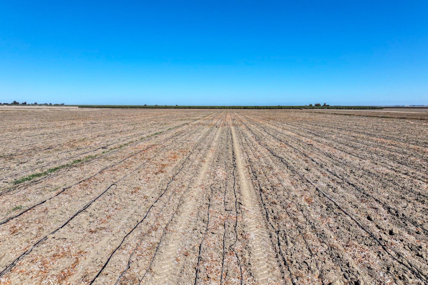 0 0 W Packard Ave, Coalinga, CA 93210
