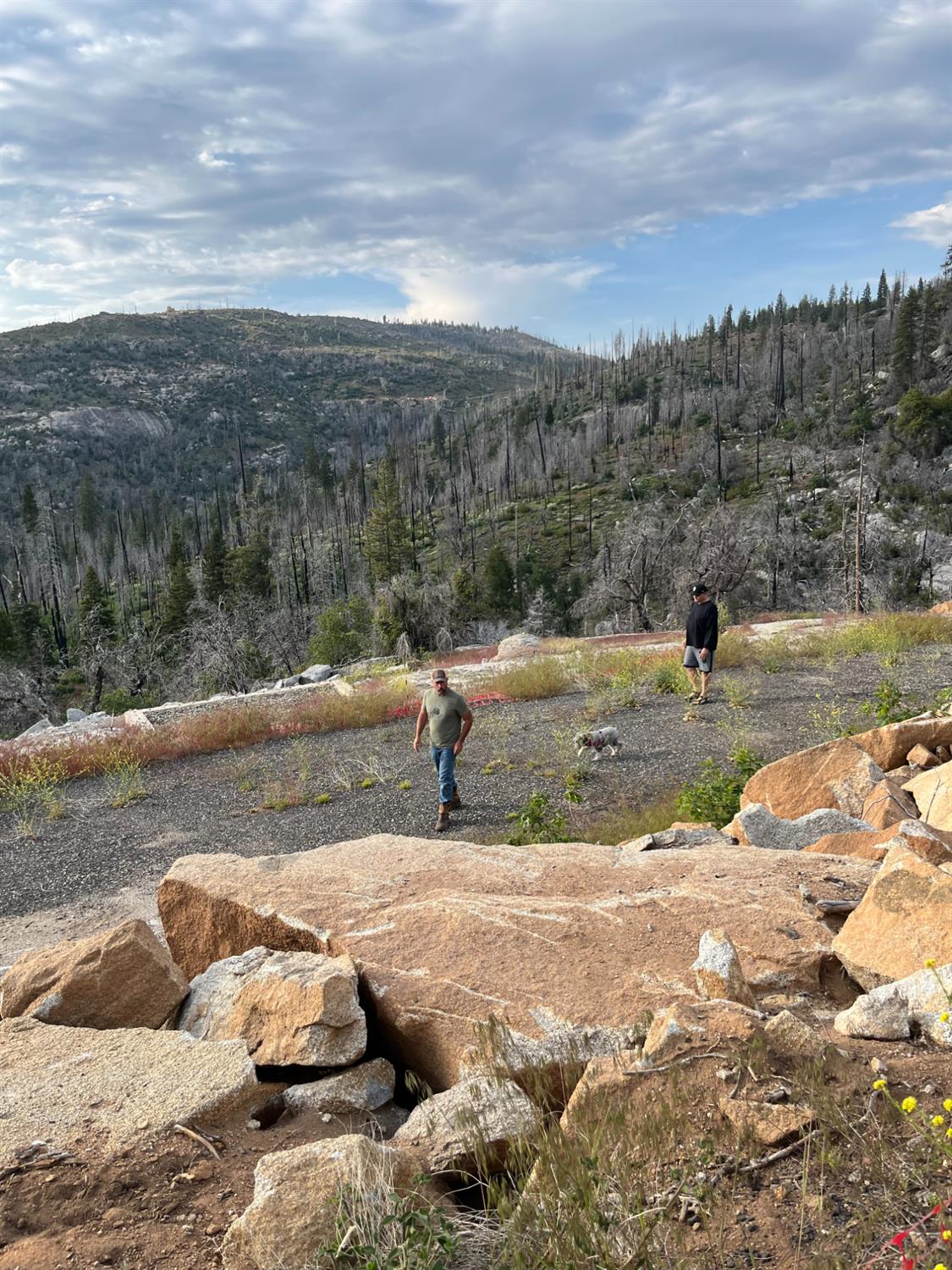 40892 Woodland Rd, Shaver Lake, CA 93664
