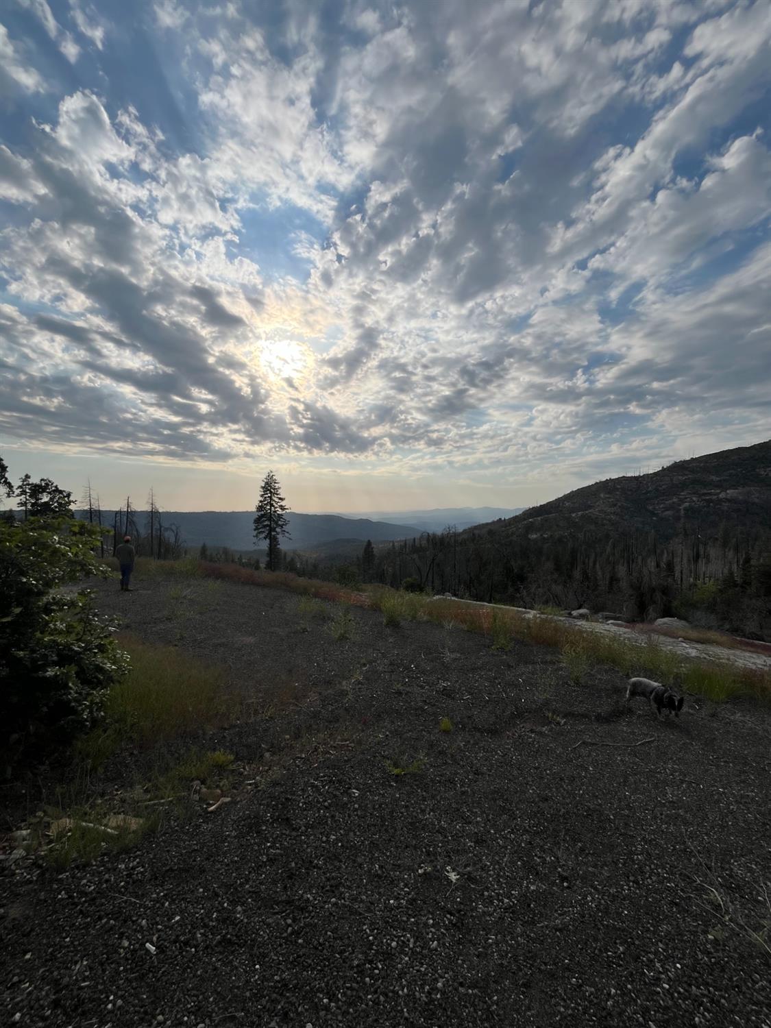 40892 Woodland Rd, Shaver Lake, CA 93664