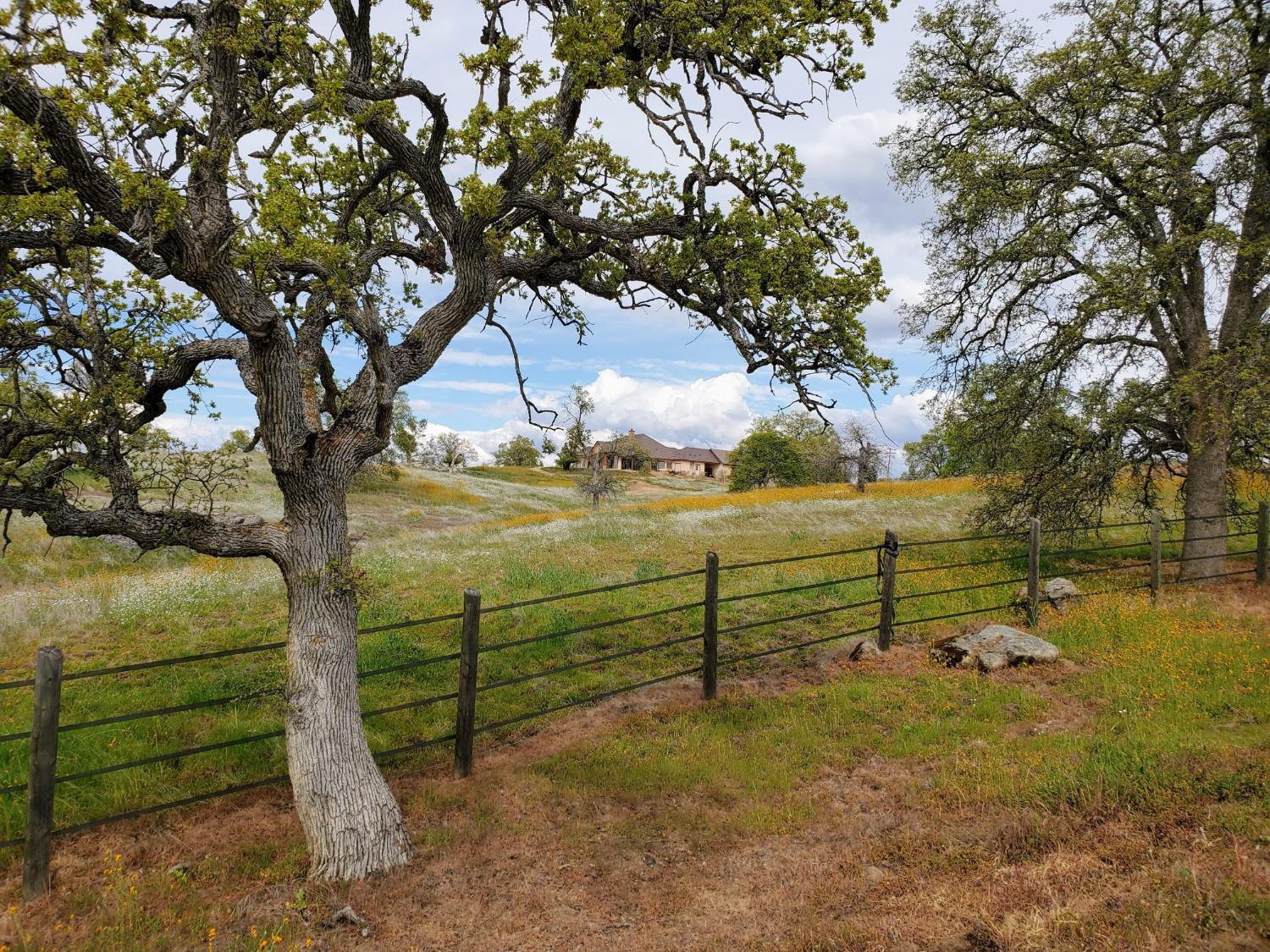 34310 Barn Owl Rd, Raymond, CA 93653