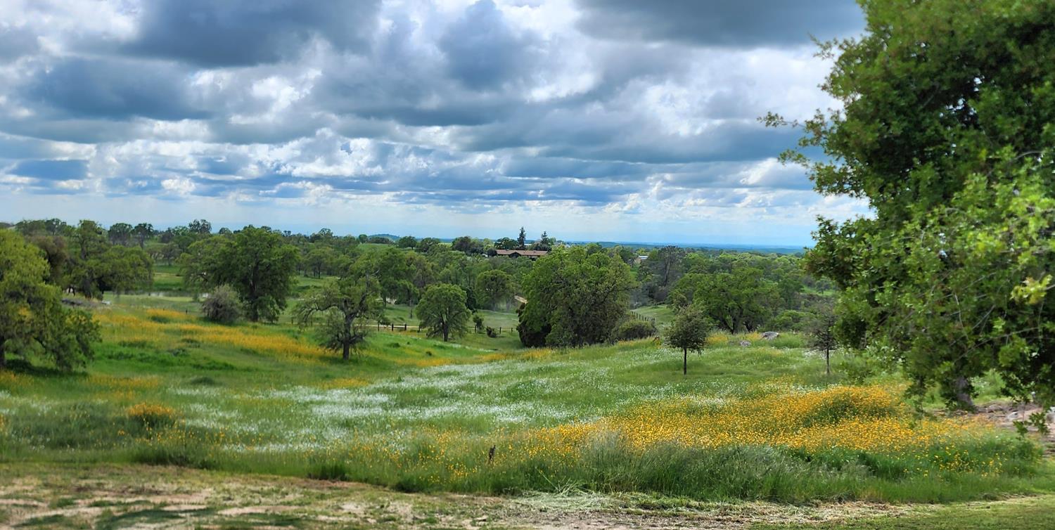 34310 Barn Owl Rd, Raymond, CA 93653