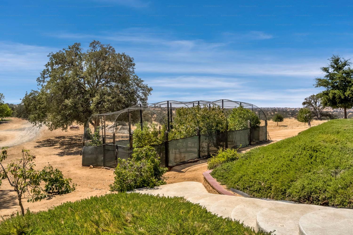 34310 Barn Owl Rd, Raymond, CA 93653