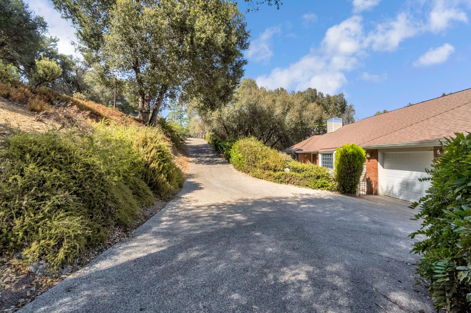 39309 Forest Park Ln, Oakhurst, CA 93644