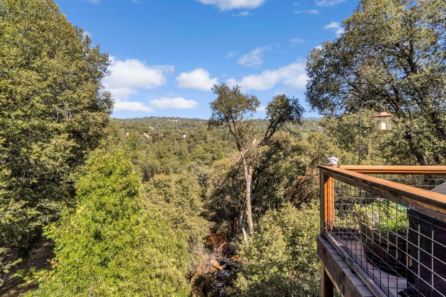 39309 Forest Park Ln, Oakhurst, CA 93644
