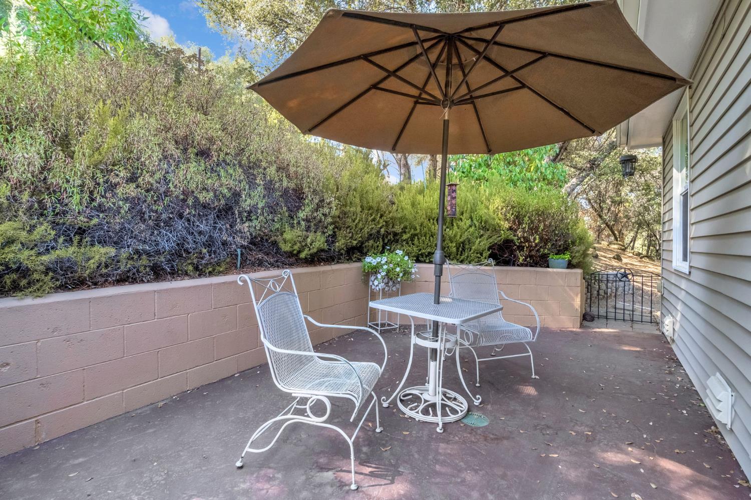 39309 Forest Park Ln, Oakhurst, CA 93644