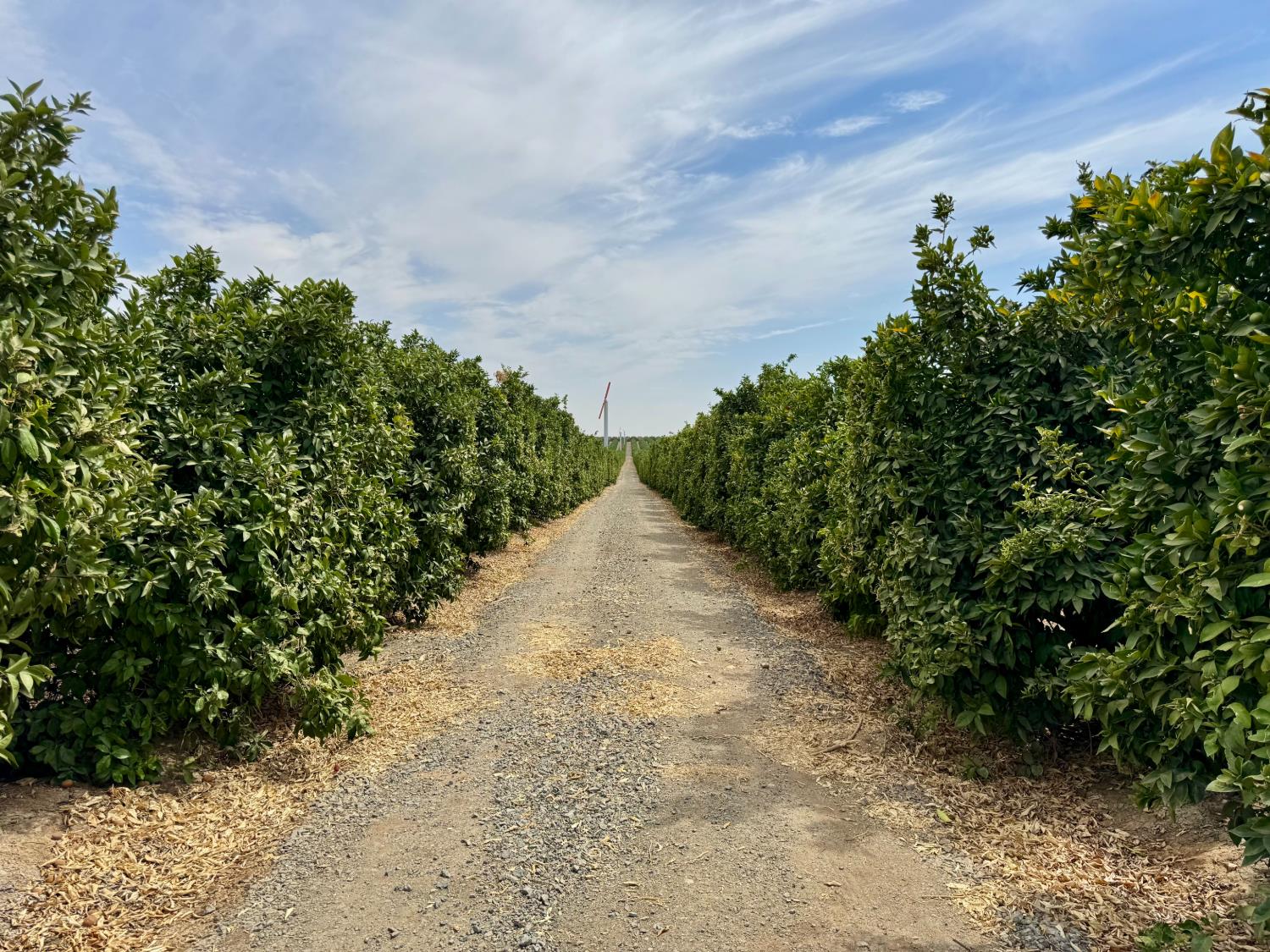 72 Avenue, Ducor, CA 93270
