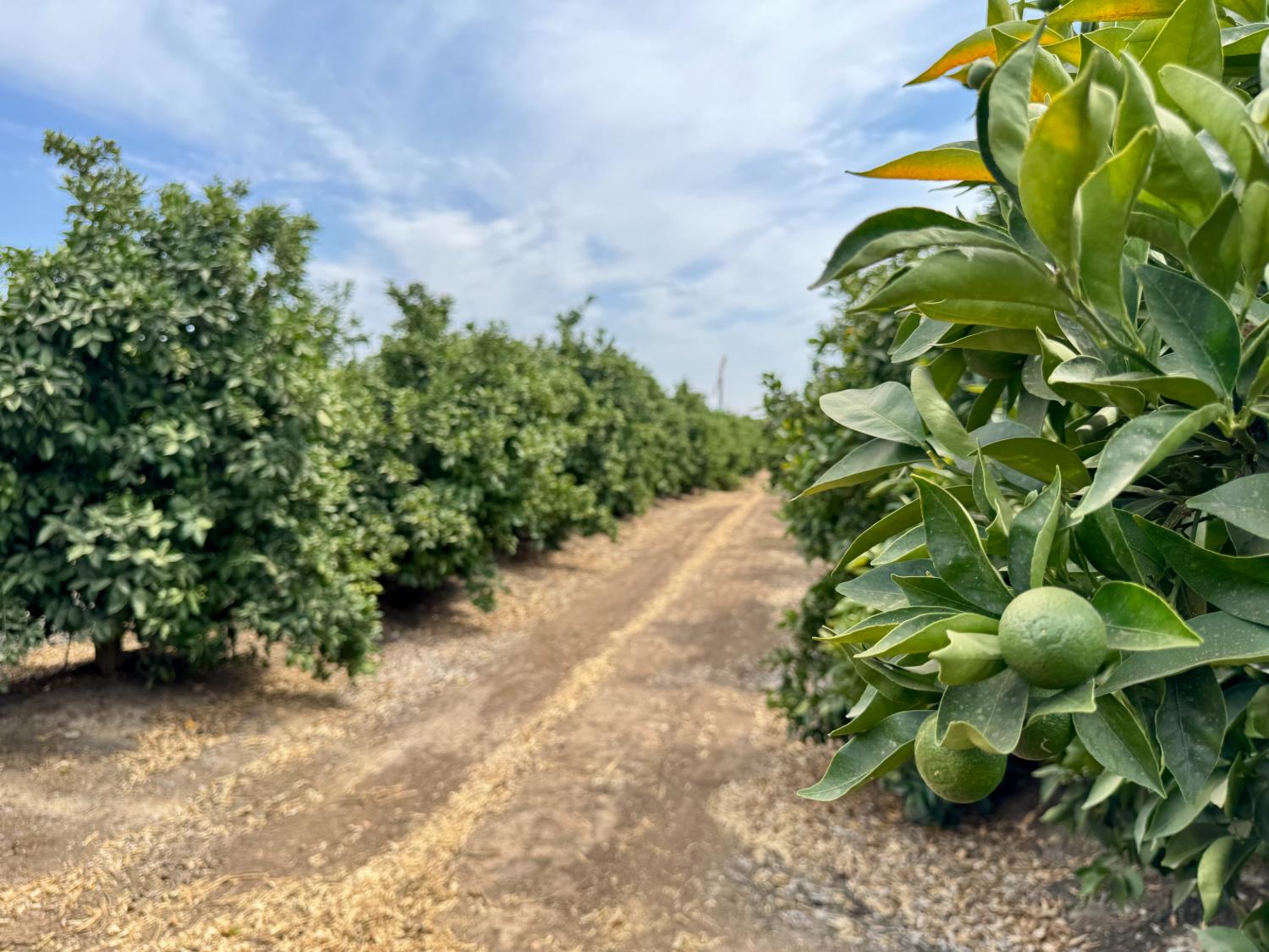 72 Avenue, Ducor, CA 93270