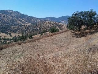 0 TBD Beaver Ln, Fresno, CA 93675