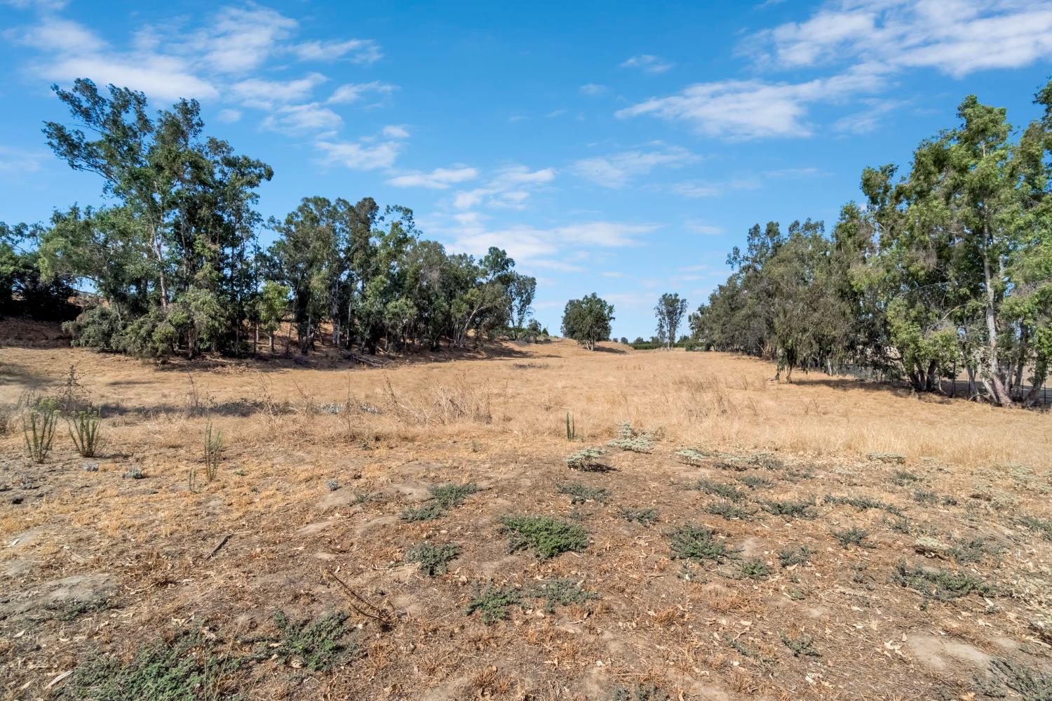 5221 S Reed Ave, Reedley, CA 93654