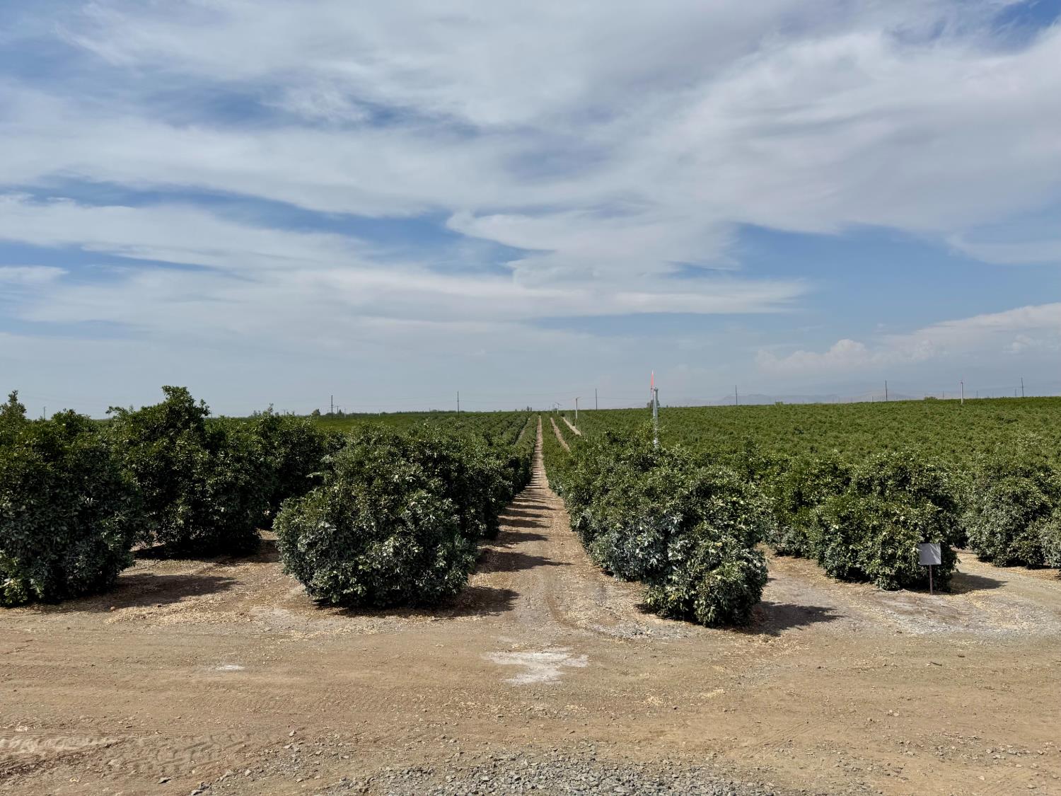 68 Avenue, Terra Bella, CA 93270