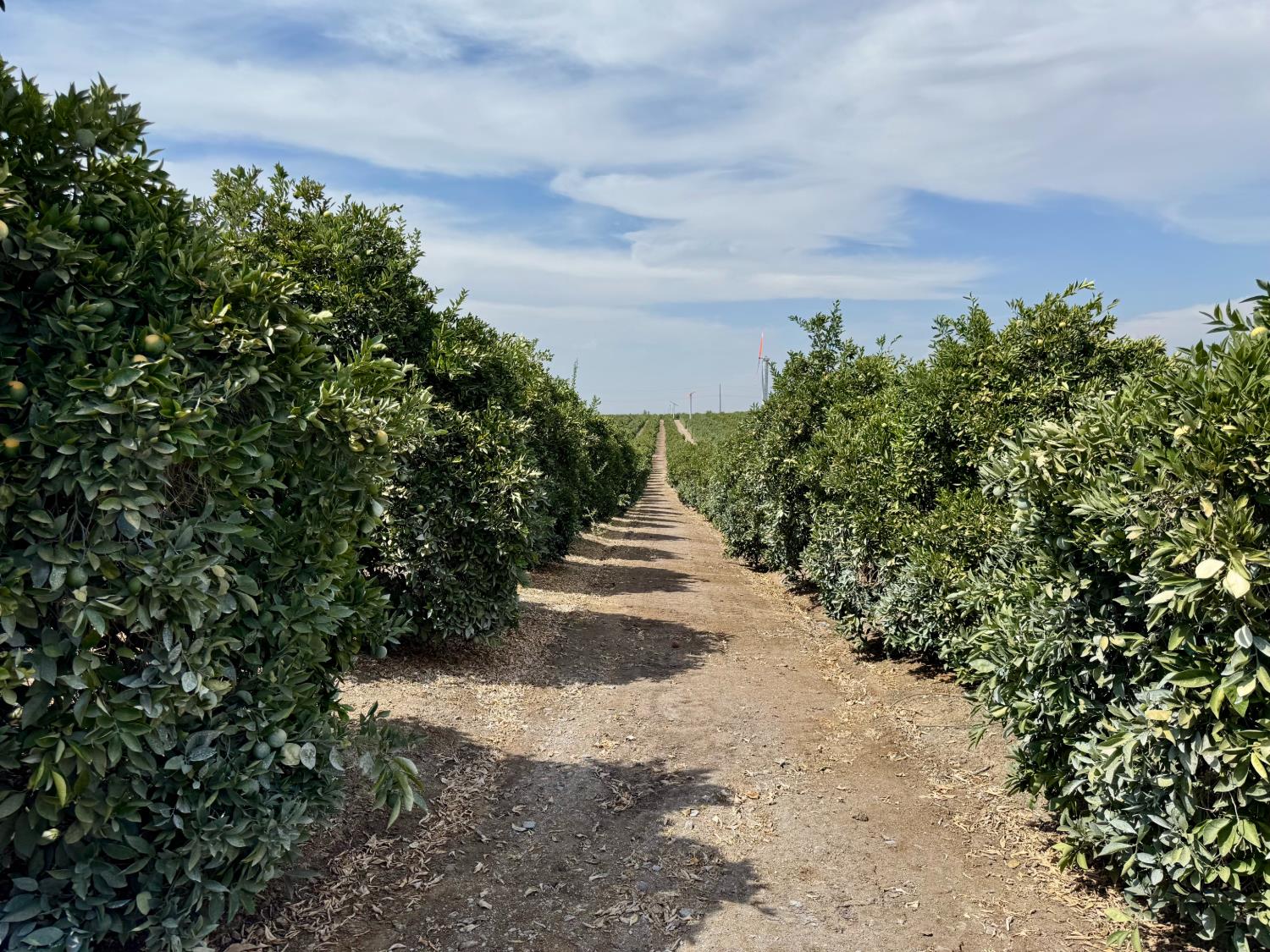68 Avenue, Terra Bella, CA 93270