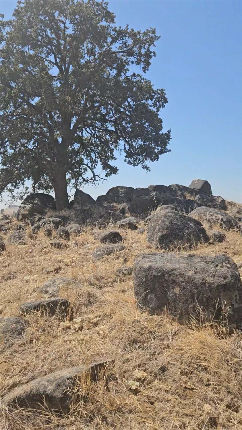 167 ac Highway 41, Madera, CA 93636