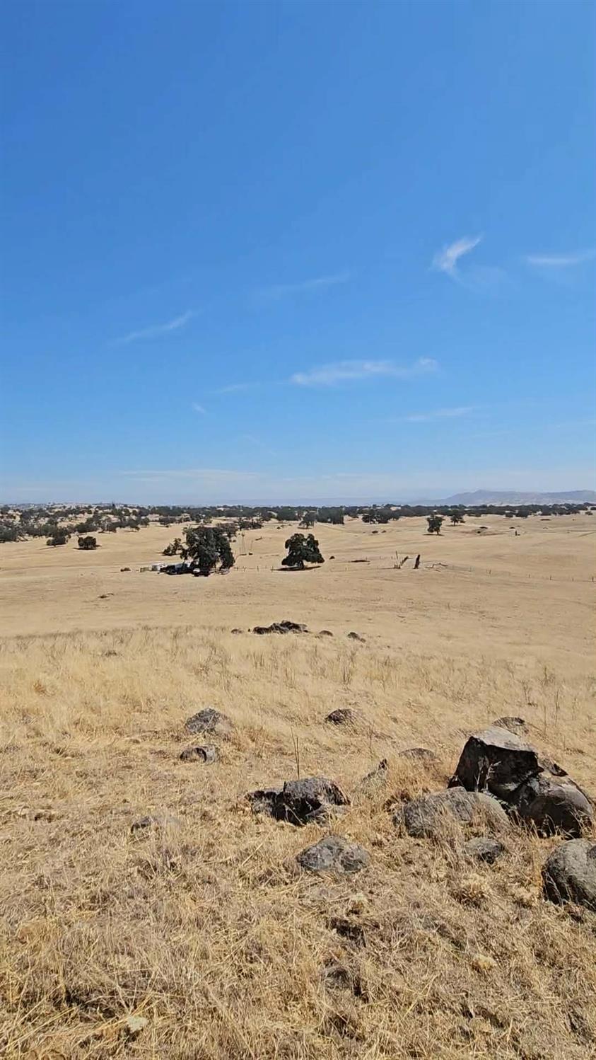 167 ac Highway 41, Madera, CA 93636